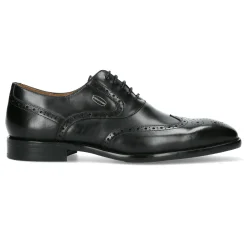 Hot Laura Vita Chaussure Homme ALOYS 03
